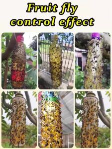 Long Lasting Fruit Fly Trap | Sticky Glue forMelons | Protects Fruits from PestDamage