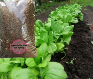 Bat Guano Organic Fertilizer (Concentrated) – Natural Soil Booster & Plant Growth Enhancer – Green Soil