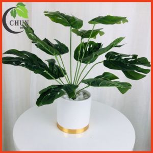 Chậu cây để bàn trang trí nhiều mẫu