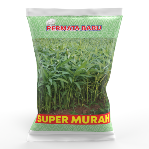 Permata Baru Benih Kangkung Super Murah 1kg Daun Sedang