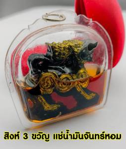 สิงห์สามขวัญ หลวงพ่อเดิม วัดหนองโพ จ.นครสวรรค์