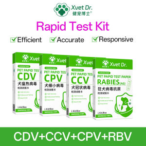 Xvet Dr ชุดทดสอบสัตว์เลี้ยง CDV CPV CCV RBV กระดาษทดสอบสำหรับเขี้ยวสุนัข Distemper ไวรัสแอนติเจนชุดทดสอบชุดทดสอบเร็ว