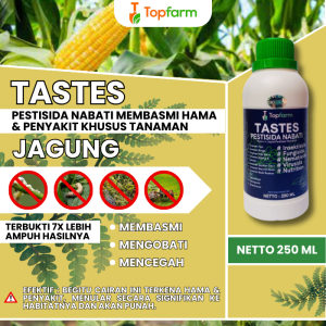 Obat Hama Jagung / Obat Daun Jagung / Obat Pembesar Buah Jagung / Obat Penyubur Jagung / Obat Jagung / Obat Bule Pada Tanaman Jagung / Obat Anti Bulai Untuk Jagung