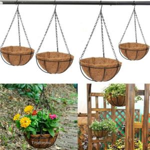 Chậu hoa xơ dừa