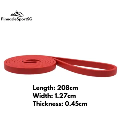 [SG] Long Resistance Power Band Sports Fitness Recovery Warm-Up Muscle Strength Pull Up Gym Set Yoga