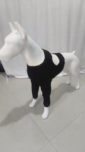 Dog Leggings Front Leg Wrap for Warmth and Support for Injured Aging Pet Against Licking Multiple Size Less Discomfort