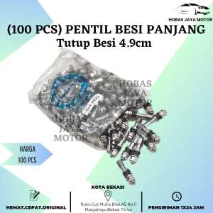 [100 Pcs] Pentil Tubeless Besi Panjang 4.9cm Tutup Besi