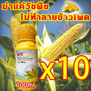 ใช้1ครั้ง นาข้าวโพด50ปีไม่มีวัชพืช ใช้1ครั้ง นาข้าวโพด50ปีไม่มีวัชพืช เข้มข้นสุดๆ เห็นผลทันที กำจัดหญ้าในไร่ข้าวโพด ฆ่าหญ้าข้าวโพดฆ่าแค่วัชพืช ไม่ทำลายข้าวโพดและอ้อย ยาชุดข้าวโพด 1L กำจัดหญ้าในข้าวโพด และไร่อ้อย ยาฆ่าหญ้าในไร่ข้าวโพด ยาฉีดหญ้าข้าวโพด