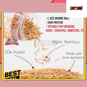 CHEAPEST 1500ml (~160g) CHEAPEST DRIED MEALWORM BREADWORM FOR CHICKEN QUAIL HAMSTER TERRAPIN GUINEA PIG
