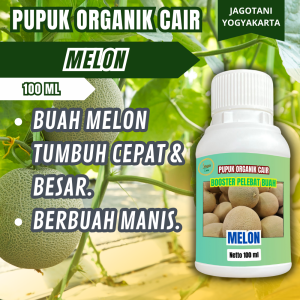 Pupuk Organik Cair Pembesar Melon 100 ML Booster Penumbuh Dan Pelebat Buah By Jagotani Yogyakarta