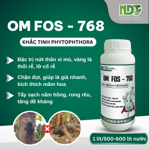 OM FOS - 768 NDT KHẮC TINH NẤM PHYTOPHTHORA NỨT THÂN XÌ MỦ VÀNG LÁ HƯ RỄ CHẶN ĐỌT GIÚP LÁ GIÀ NHANH. CHAI 1 LÍT