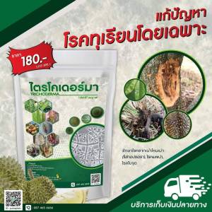 กัปตันไตรโค ไตรโคเดอร์ม่า สูตรเข้มข้น เชื้อ 2 เท่า แบบผง(500กรัม) ปลอดภัย 100 % ไตรโคเดอร์ม่า ราคา ไตรโคเดอร์ม่า คือ ไตรโคเดอร์ม่า คุณสมบัติ - Lazada