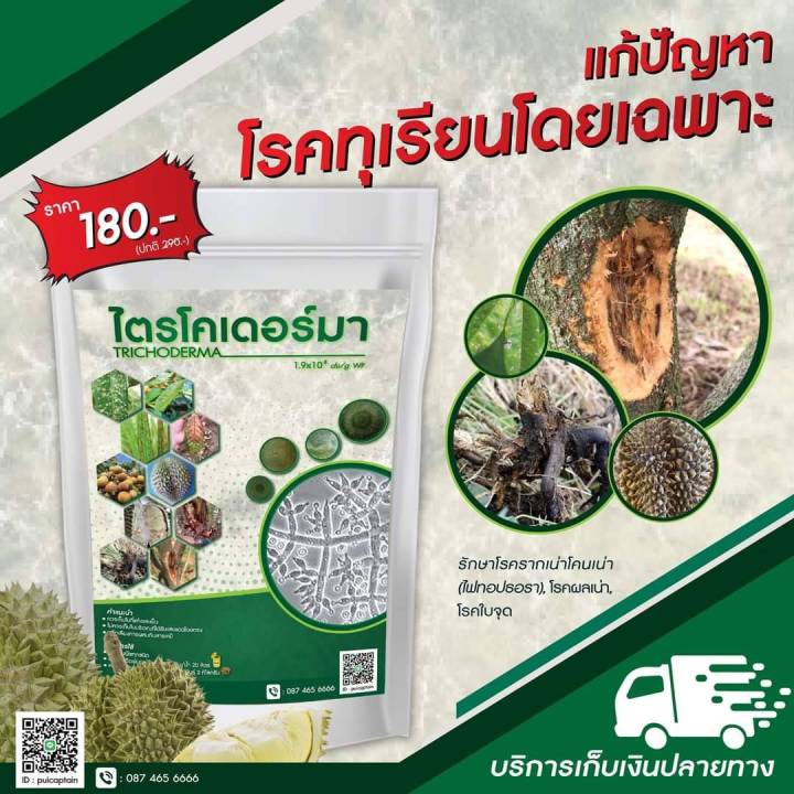 7 อันดับ ไตรโคเดอร์มา ยี่ห้อไหนดี? ป้องกันเชื้อราในพืช อัปเดตปี 2025