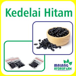 Benih Kedelai Hitam Unggulan Berkualitas bibit biji repack kacang kacangan black soy kecap manis hydroponik hidroponik