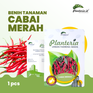 Benih Cabai Kemasan Urbanfarming Bersertifikat 35 butir