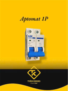 CB TÉP LSE CẦU DAO TỰ ĐỘNG LSE LS 302a - 2P