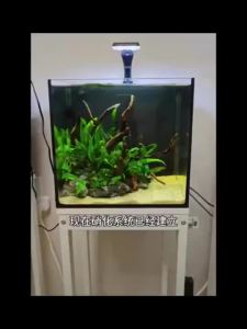 【Ship in 24H】Fish tank color absorbing sheet paper water purification aquarium water purification remove yellow water and green water