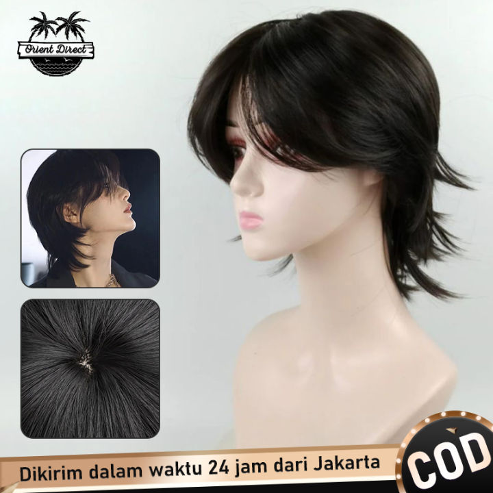 Wig Pria Mullet Panjang Kuncir Rambut Palsu Cowok Rambut Pria