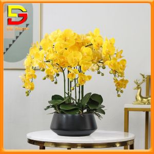 Lan Hồ Điệp Cao Su Chậu Hoa Lan Hồ Điệp Cao Cấp Trang Trí Nhà Cửa Làm Quà Tặng Ý Nghĩa DC-467