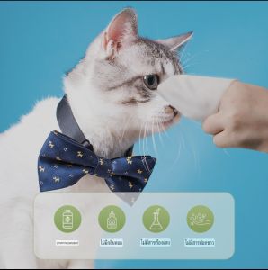 ผ้าเช็ดทำความสะอาดสำหรับสุนัขและแมว เช็ดทำความสะอาดแบบพิเศษ ขจัดคราบน้ำตา ดับกลิ่น เช็ดเท้า อุปกรณ์ทำความสะอาดแบบใช้แล้วทิ้ง