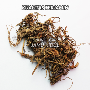 Akar Purwaceng Kering 100gr Asli Dieng - Untuk Ketahanan Pria