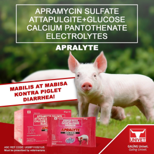 Powder 6 grams for animals sold per sachet Powder 6 grams powder pig water soluble powder for piglets sold per sachet