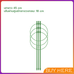 BUY HERE โครงเถาวัลย์ เสามะเขือเทศ โครงปลูก อุปกรณ์สำหรับพืชไม้เลื้อย 45cm 60cm plant trellis