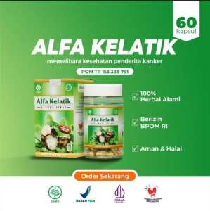 Kapsul Ekstrak Umbi KELADI Tikus atau Alfa kelatik Ampuh Basmi Tumor dan Kanker Sampai ke Akarnya