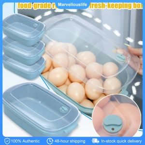 Fruit Vegetable Sealed Storage Boxes Rectangular Freezer Storage Containers Fresh-keeping Box Space-saving Organizer