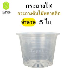 กระถางพลาสติกใส ขนาด 8 นิ้ว ทำจากพลาสติกเกรดดี มีน้ำหนักเบา รูก้นกระถางระบายน้ำ เห็นรากได้ชัดเจน