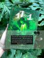 Sách Tiểu Thuyết - 17 Âm 1 - Doo Vandenis. 