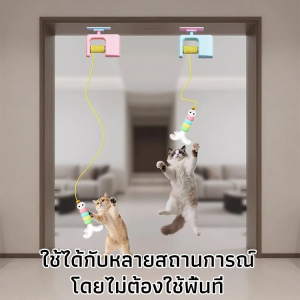 ของเล่นแท่งแมวไฟฟ้า หนอนผีเสื้อ ผลิตภัณฑ์สิ้นเปลืองที่ผ่อนคลายและผ่อนคลายพร้อมของขวัญมากมายในคราวเดียว