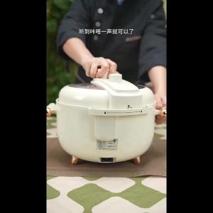 4L Electric Pressure Cooker with Dual Inner Pots Non-stick Rice Cooker Multifunctional Smart Timer and Reservation Function