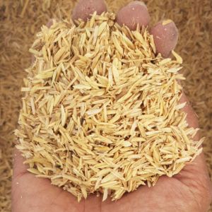 GM4U Coco Fiber Cocopeat Block Coco Husk Coco Chip Sabut Kelapa Untuk Tanaman Sabut Kelapa Halus Sabut Kelapa Cincang