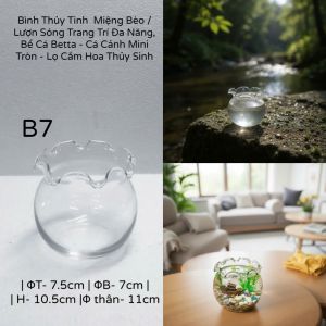 Chậu Thuỷ Tinh Dùng Làm Hồ Cá Bể Cá Để Bàn Dáng Tròn Bầu T11 Round Glass Aquarium Size 17 x 13 Cm
