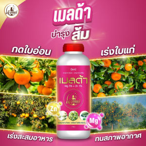 ปุ๋ยน้ำ ส้ม แมกนีเซียม+สังกะสี สูตรเข้มข้น (เมลด้า 1ลิตร) กดใบอ่อน เร่งใบแก่ ลดใบแก้วใบลาย เขียวเข้ม