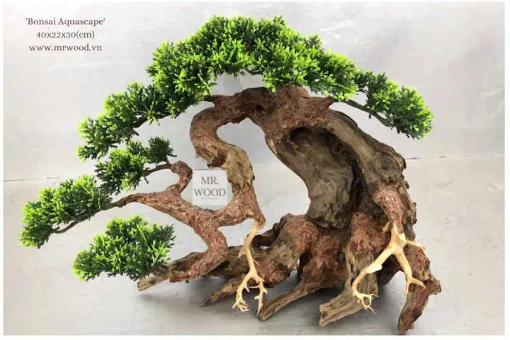L%C5%A9a%20Bonsai%20mini%20cho%20h%E1%BB%93%20th%E1%BB%A7y%20sinh%20-%20X%C6%B0%E1%BB%9Fng%20L%C5%A9a%20Mr%20Wood%20-%20Image%205