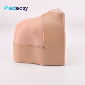 High Simulation Shoulder Arthroscopic Simulator Model Shoulder Simulator Trainer for Arthroscopy Training