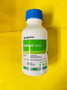Herbisida sistemik GALLANT 108ec dari CORTEVA KEMASAN 500ml MANTAB