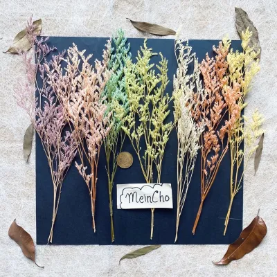 Bunga Kering Caspea Limonium Dried Flower Preserved Flower Aesthetic Dekorasi Rustik