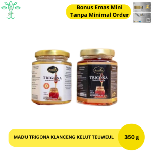 Madu Azzura Trigona Klanceng Kelulut 100% Asli Murni & Alami Herbal Premium