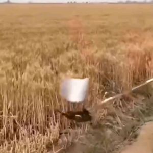 Rice Wheat Harvester Attachment Set: A Comprehensive Guide