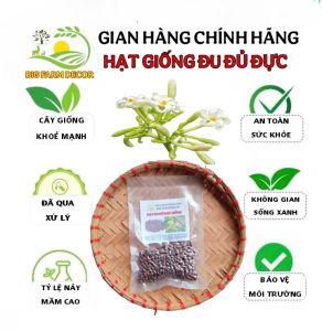 gói 100 hạt đu đủ đực giống