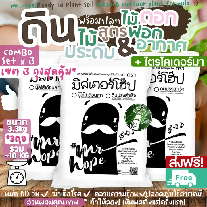 10 อันดับ ดินปลูกต้นไม้และมูลไส้เดือนยอดนิยมสำหรับปี 2025