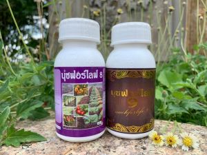 นุชฟอร์ไลฟ์ 2+8 ขนาด100cc(เลือกสูตรได้)โปรปล่อยของ/ปุ๋ยน้ำ อาหารเสริมพืช / สินค้าเกษตรปลอดภัย ฮอร์โมนพืช