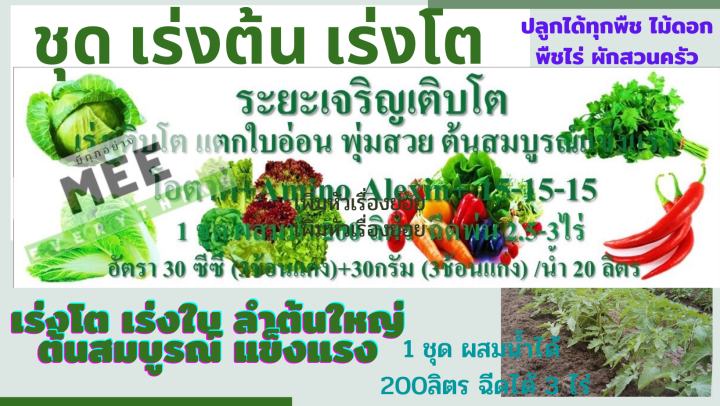 ฮอร์โมนพืช นกเงือก เร่งโต แตกกอ