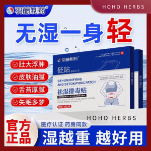 砭贴祛湿排毒贴 Dehumidifying & Detoxifying Patch 6pcs 祛湿穴位贴 Dampness Acupoint Patch