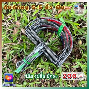 กับดักหนู 5.5 นิ้ว มีฟัน กับดักหนูนา กับดักหนูเวียดนาม กับดักเกือกม้า กับลาว กับตีหนู กับดักวงเดือน