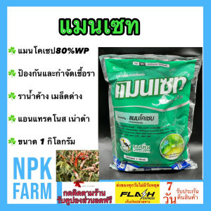 เอสทีม แมนเซท ขนาด 1 กิโลกรัม  แมนโคเซบ สูตรทนฝน กำจัดโรคพืช แอนแทรคโนส ราน้ำค้าง ใบจุด ใบไหม้ ราทุกชนิด
