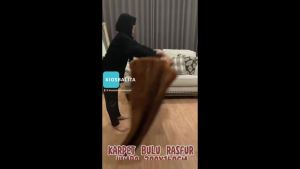 KAR RASFUR BULU JUMBO 200 x 160 LEMBUT TEBAL KAR BULU RAFUR PREMIUM SUR MATRAS TIDUR